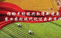 中央农办主任、农业农村部部长唐仁健解读2022年中央一号文